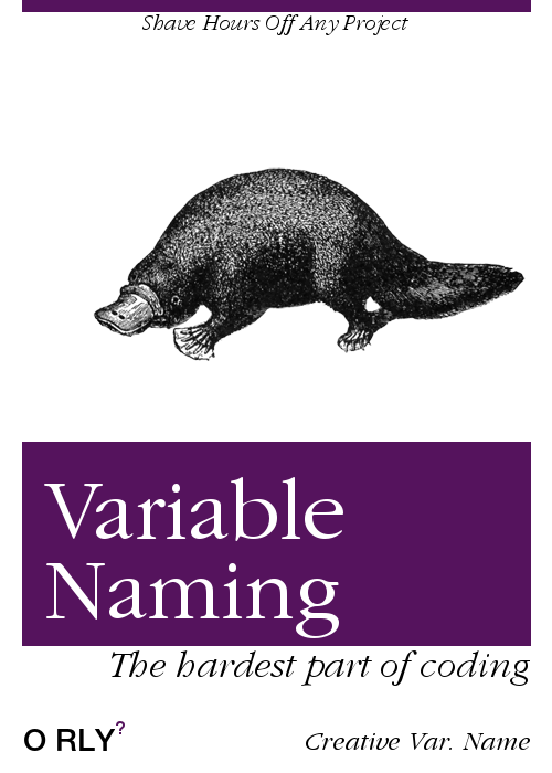 Couverture du faux livre Noms de variables